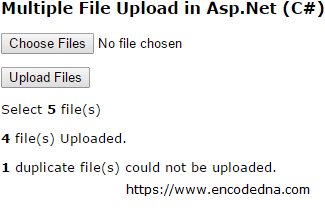 Multiple File Upload