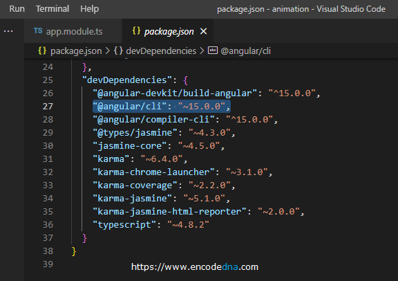 Check angular version inside package.json file