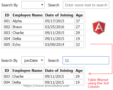 How To Implement A Search Filter On An Html Table Using