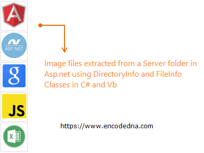 Extract Image Files from Server Folder using Asp.Net