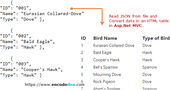 read json data from file and display in html table in asp.net mvc