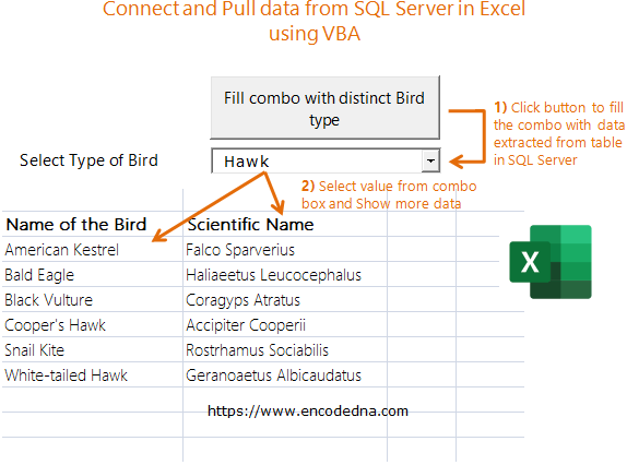 Connect And Pull Data From Sql Server Database In Excel Using Vba