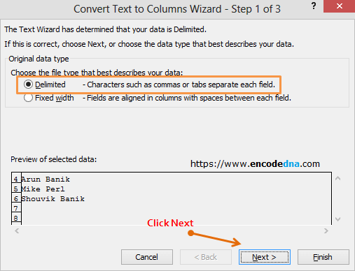 Convert Text Columns wizard in Excel