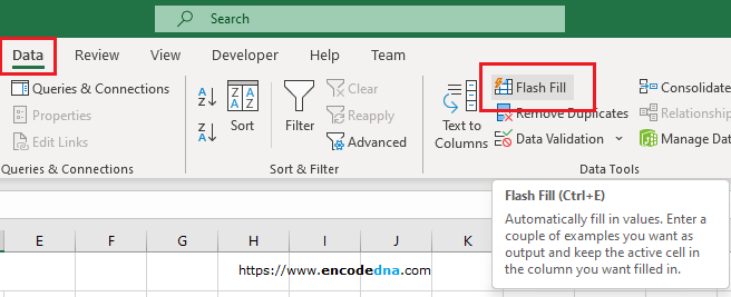 flash fill option tab in Excel