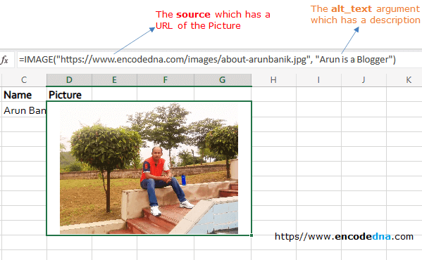 using formula in excel to add image in cell