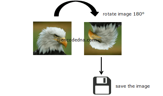 Rotate and Save image using JavaScript and Canvas