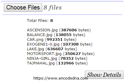 Show Selected File Details using JavaScript