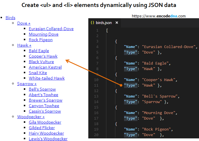 create ul and li elements dynamically using json data and jquery