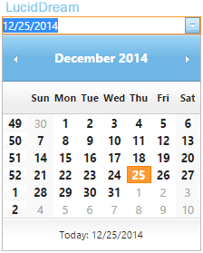 Infragistics DatePicker Control