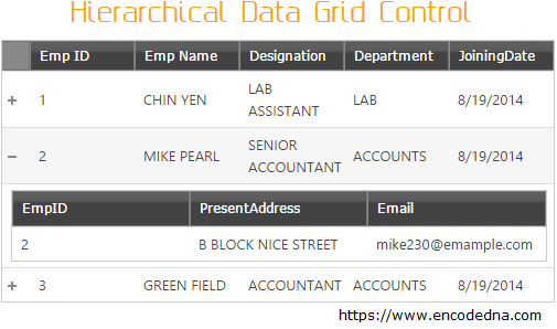 Infragistics Hierarchical Data Grid Control