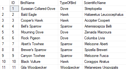 dummy table with a list of birds