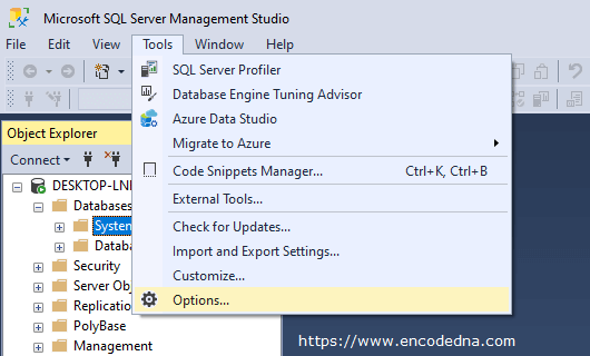 Options in SQL Server Management Studio