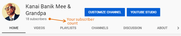 Your YouTube Subscriber Count